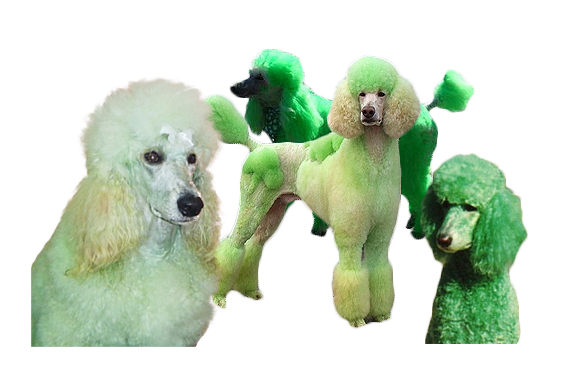 green-dogs.jpg