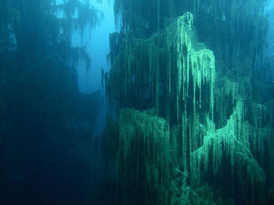 sunken-forests-lake-kaindy.jpg